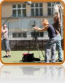 collage image title