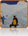 collage image title