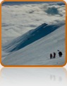 collage image title