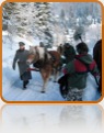collage image title