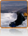 collage image title