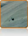 collage image title