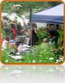 collage image title