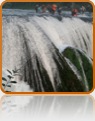 collage image title