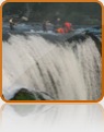 collage image title