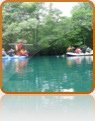 collage image title