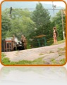 collage image title