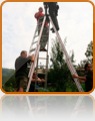 collage image title