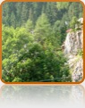 collage image title