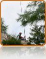 collage image title