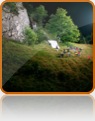 collage image title