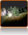 collage image title