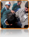 collage image title