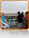 collage image title